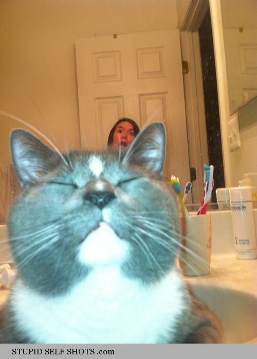 Cat busted taking a bathroom selfie