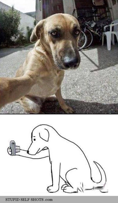 How dogs take selfies