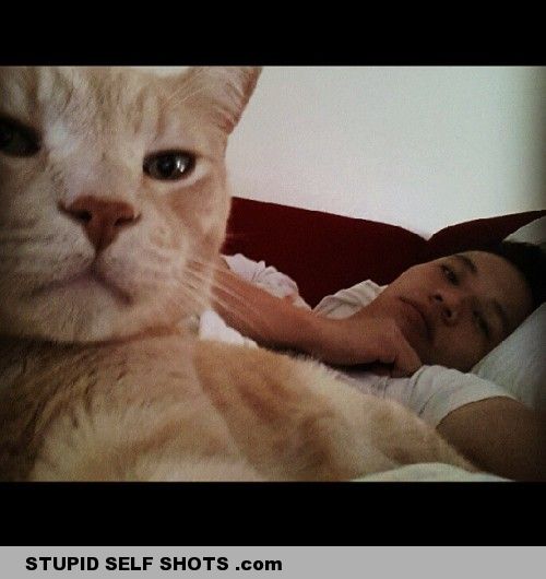 Just hit that, cat selfie