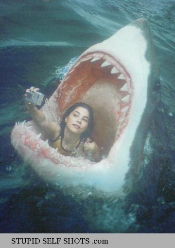 Swallowed by a Shark, Jaws self shot