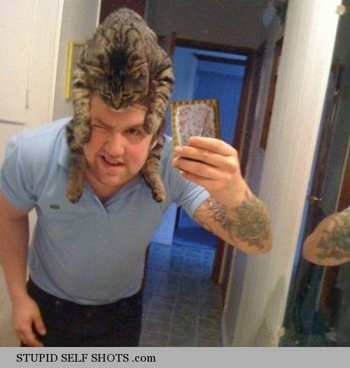 The Cat is the Hat, self shot