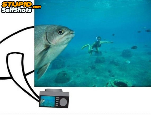 Fish underwater self shot