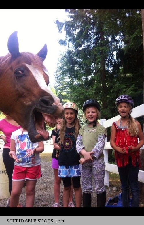 Horse self shot with kids