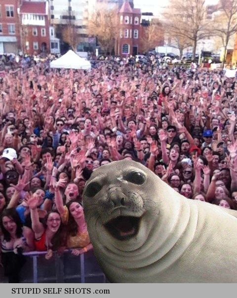 Seal selfie