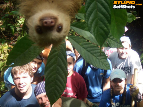 Sloth self shot, tourist photobomb