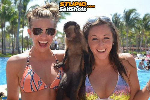 Bikini girls with a monkey, self shot