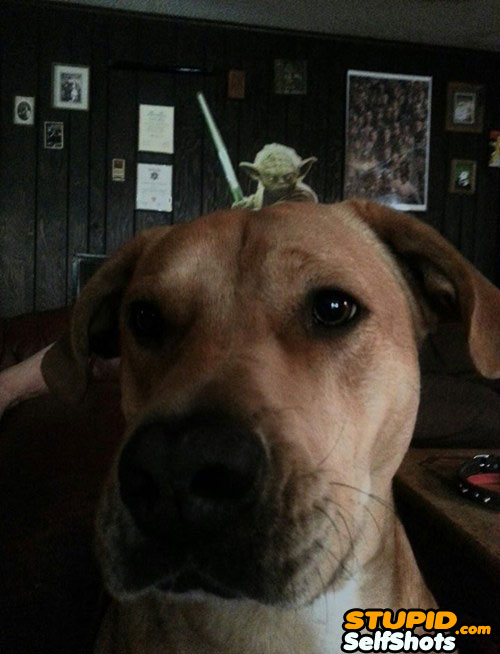 Dog takes a selfie all by himself