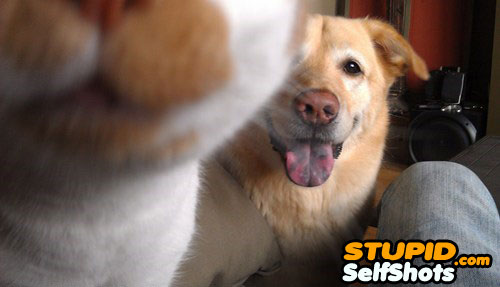 Dog takes his own selfie