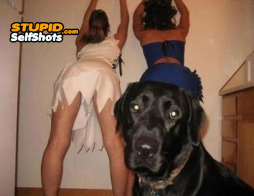 Dog selfie with his bitches