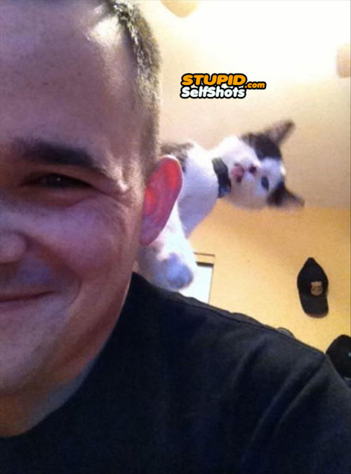 Photobombed by your cat, self shot