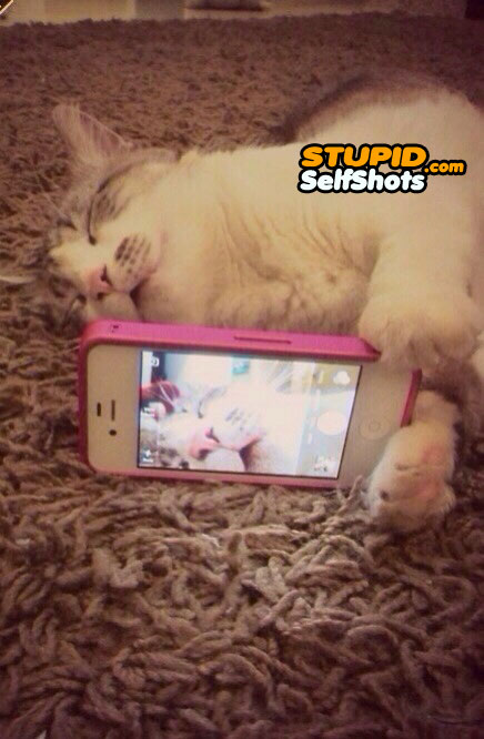 Bae caught me slippin', cat selfie
