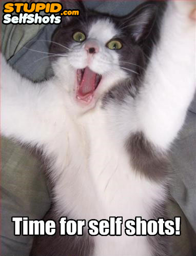Happy cat takes his first self shot